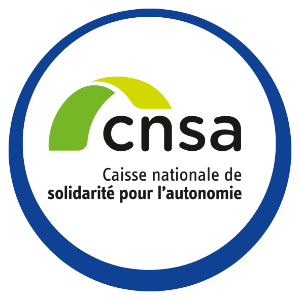 CNSA maillage.png